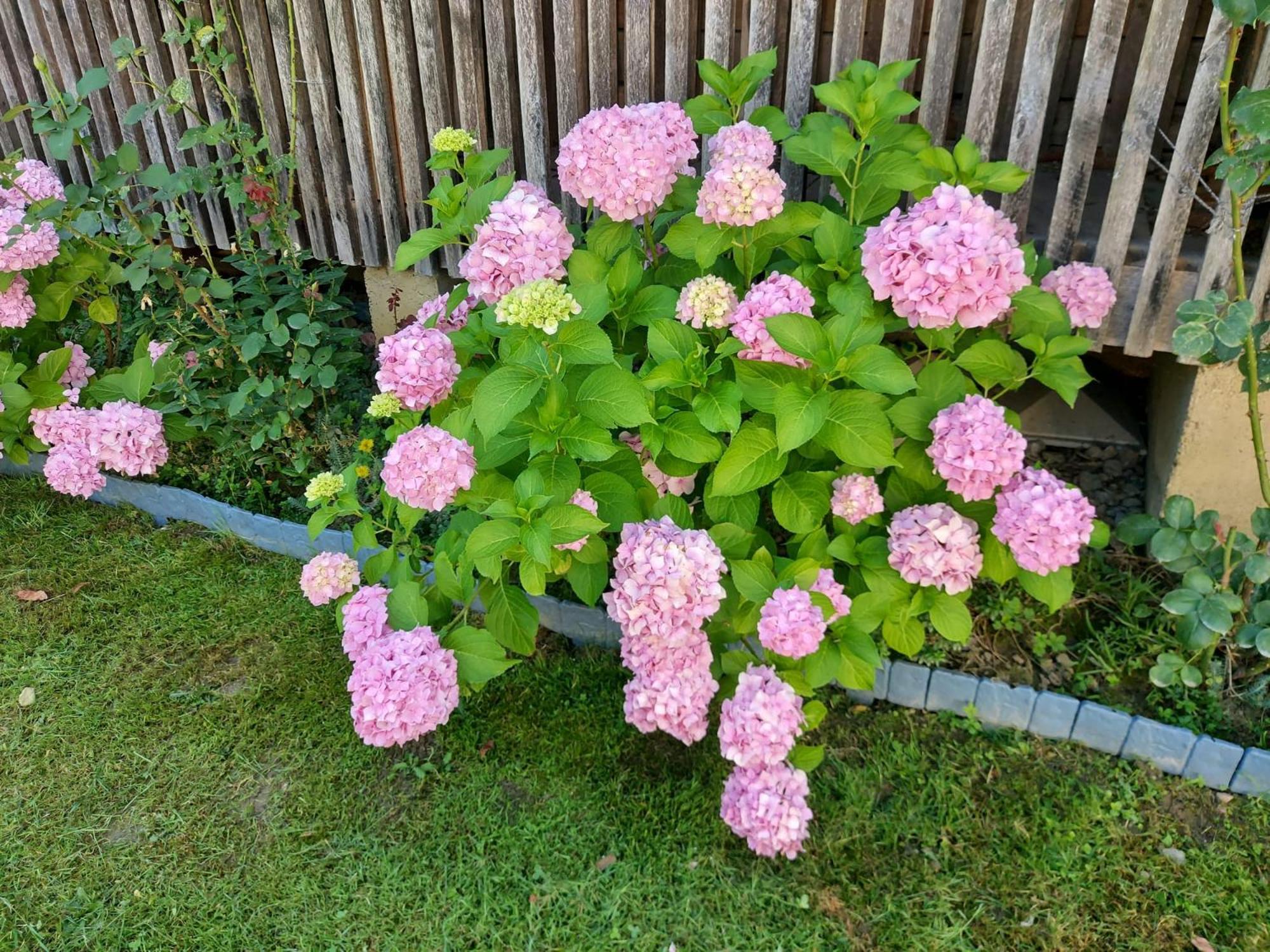 Kuca Za Odmor Mazuran Villa Károlyváros Kültér fotó