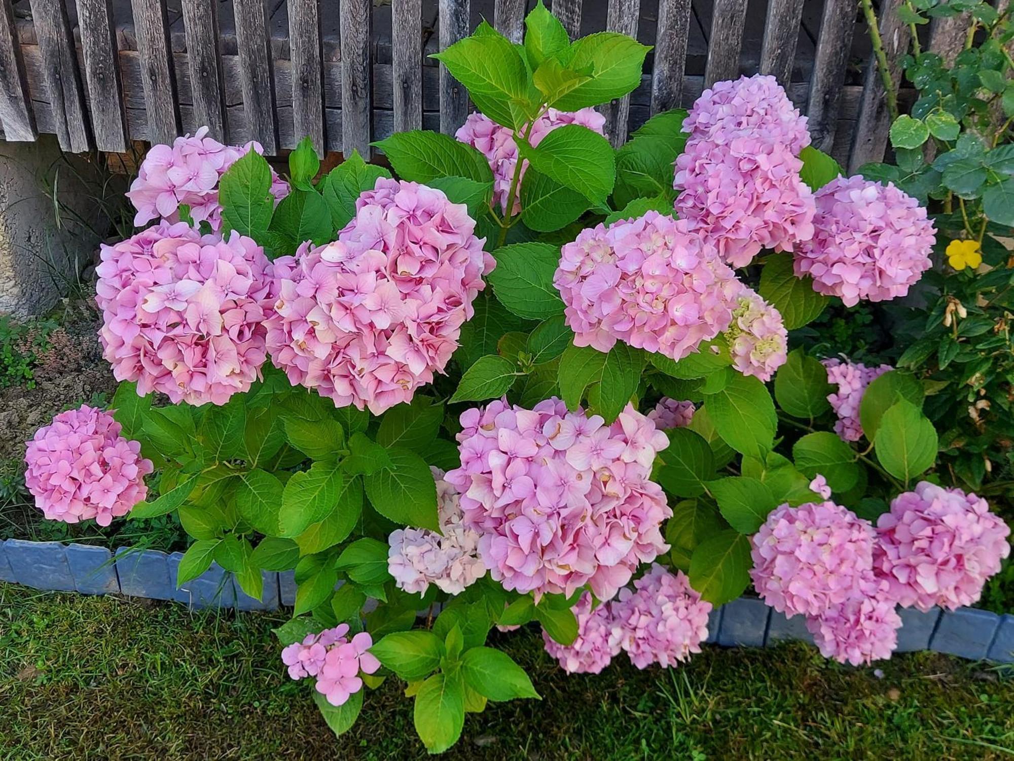 Kuca Za Odmor Mazuran Villa Károlyváros Kültér fotó