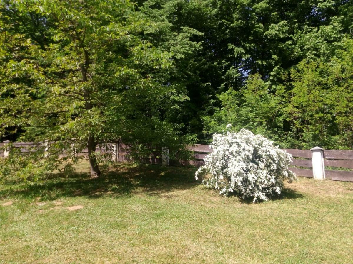 Kuca Za Odmor Mazuran Villa Károlyváros Kültér fotó
